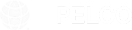 Pelco Solutions