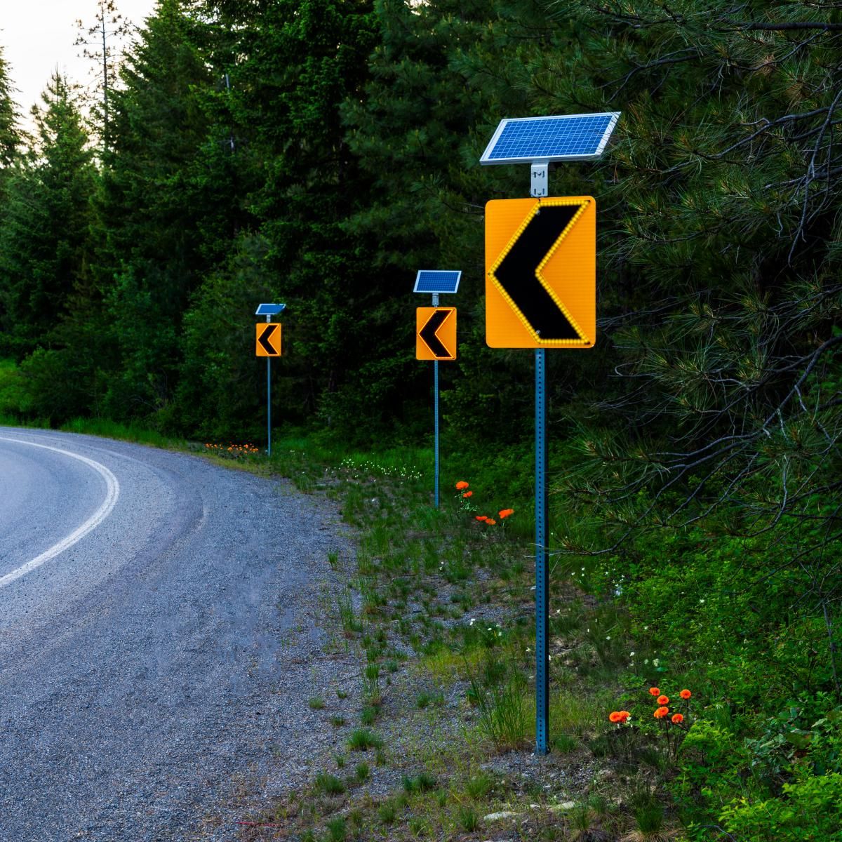 Chevron Curve Warning